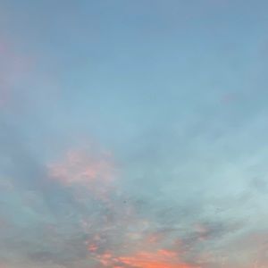 Meet your Posher, Grant